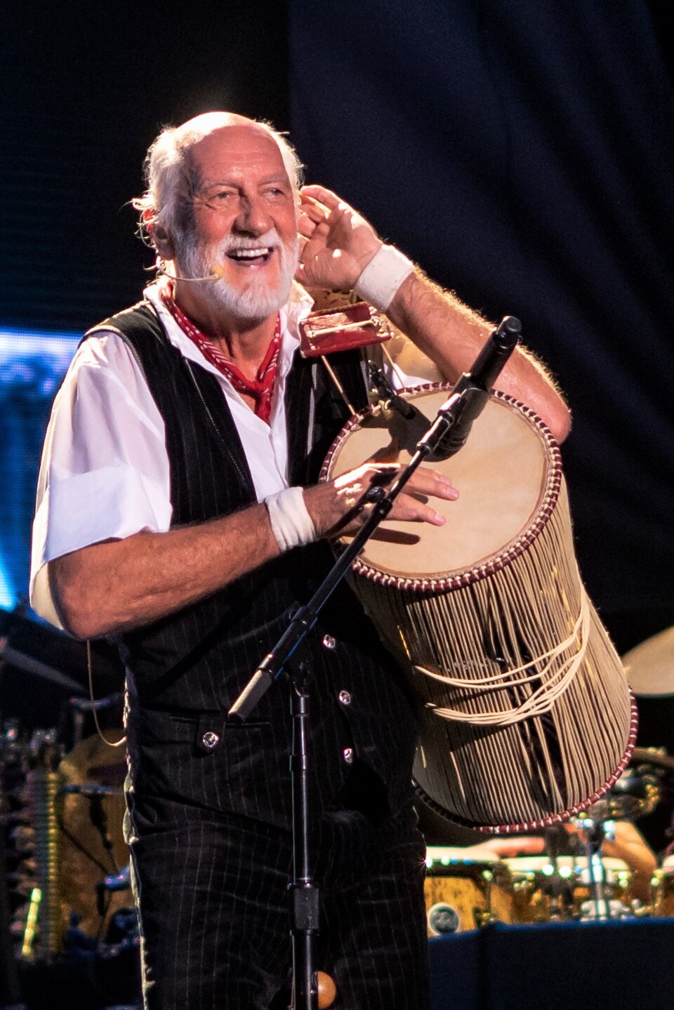 Fleetwood Mac art 8