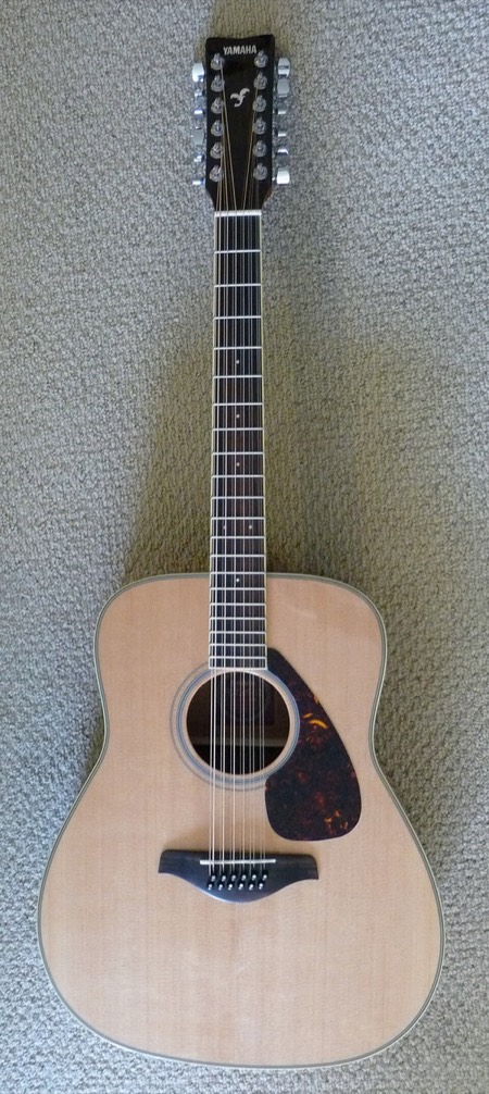 12-String Guitar