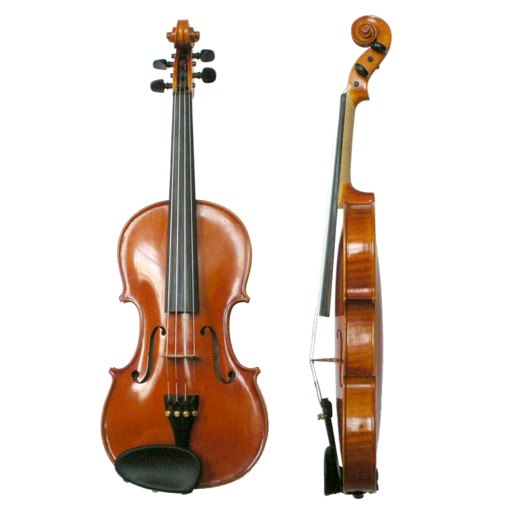 Violin